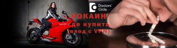 apvp Алзамай