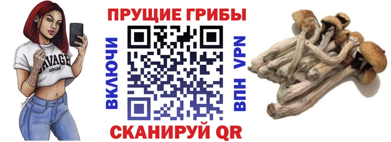 Псилоцибиновые грибы MAGIC MUSHROOMS Староминская