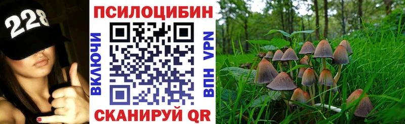 Псилоцибиновые грибы Cubensis  закладка  Староминская 